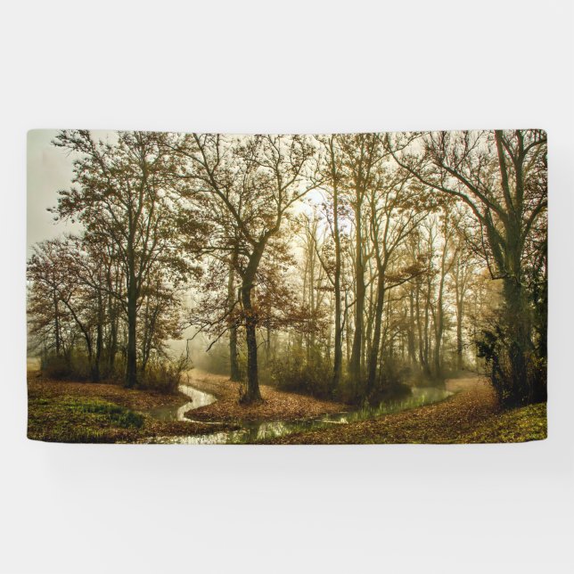 Herbstnebel im Wald Banner (Horizontal)