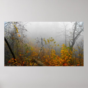 Herbstnebel im Waldposter Poster