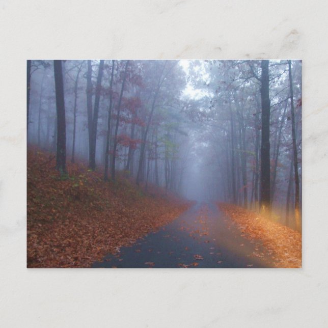 Herbstnebel Postkarte (Vorderseite)