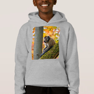 Herbstneugier: Affen im Zoo im Herbst Hoodie