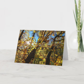 Herbstnotecard Sedona Karte