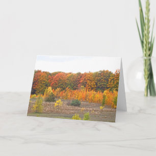"HERBSTPALETTE AUF DEM LANDE" (FOTO) KARTE