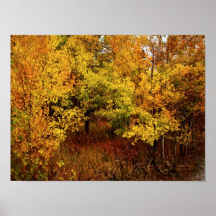 Herbstpalette Poster/Print Poster