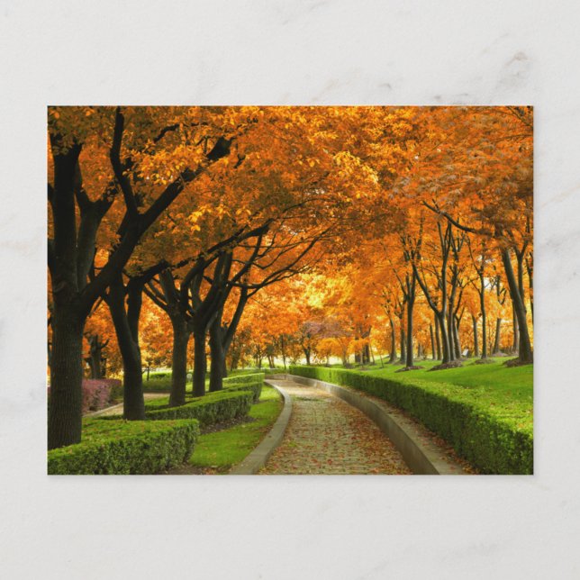 Herbstpark Postkarte (Vorderseite)