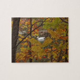 Herbstpfeifen mit Swan Puzzle