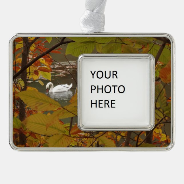 Herbstpfeifen mit Swan Rahmen-Ornament Silber (Vorderseite)