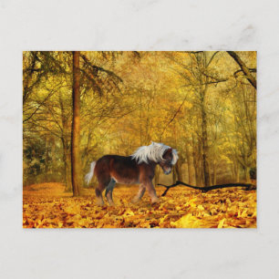 Herbstpferd Postkarte