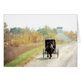 Herbstpferd und Buggy