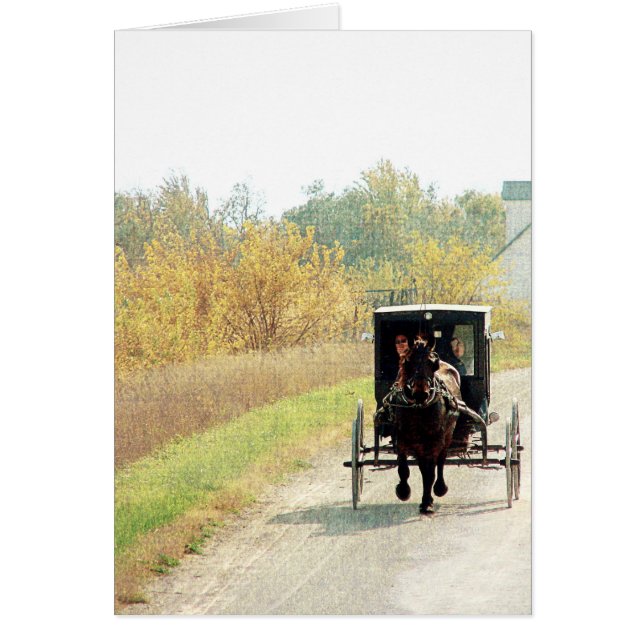Herbstpferd und Buggy (Vorne)