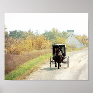 Herbstpferd und Buggy Poster