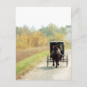 Herbstpferd und Buggy Postkarte