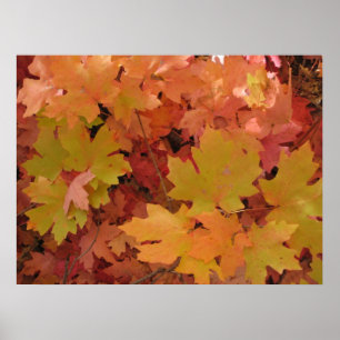 Herbstplendor (1) Poster
