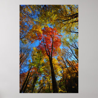 Herbstposter Poster