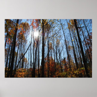 Herbstposter Poster