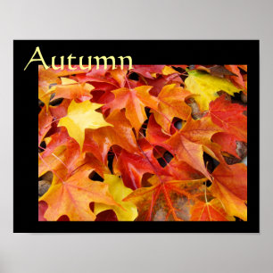 Herbstposterkunstdrucke Herbst Art Blätter Poster