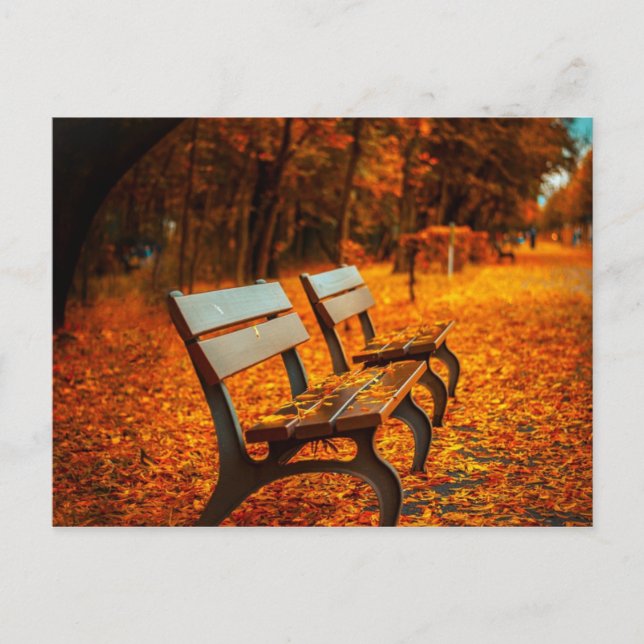 Herbstpostkarte Postkarte (Vorderseite)