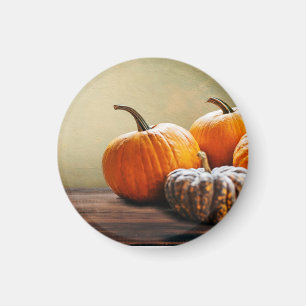 Herbstpumpen. Erntedank und Halloween noch. Magnet