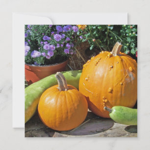 Herbstpumpen und Blume