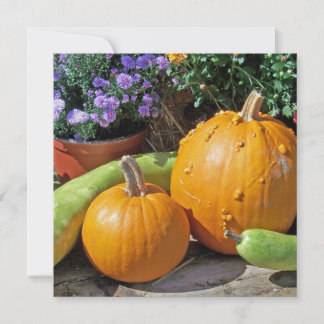 Herbstpumpen und Blume