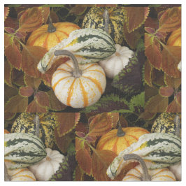 Herbstquash still Life Foto Muster Stoff