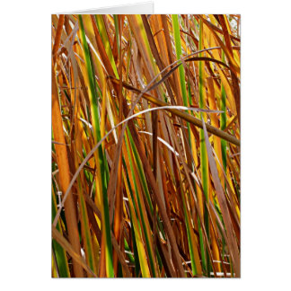 Herbstreeds Nummer 5 (Vertikal)