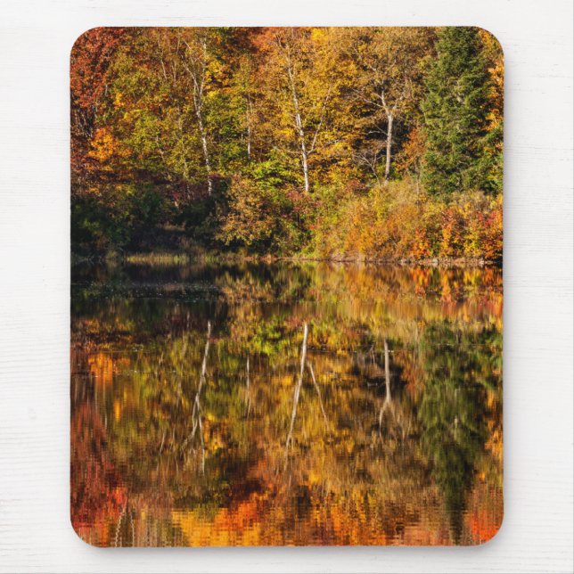 Herbstreflektion über den Kaffeeteich Mousepad (Vorne)