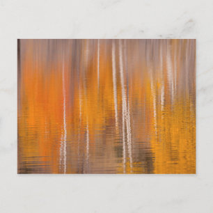 Herbstreflektionen auf dem Biberteich   Winthrop,  Postkarte