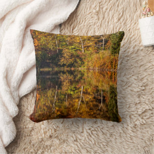 Herbstreflexion am Coffin Pond Kissen