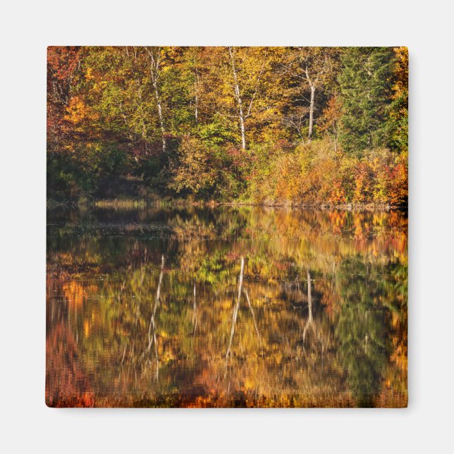 Herbstreflexion am Coffin Pond Magnet (Vorne)