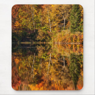 Herbstreflexion am Coffin Pond Mousepad