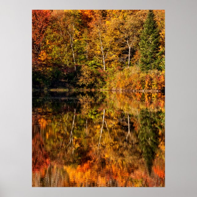 Herbstreflexion am Coffin Pond Poster (Vorne)