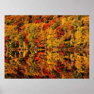 Herbstreflexion am Russell Pond New Hampshire Poster