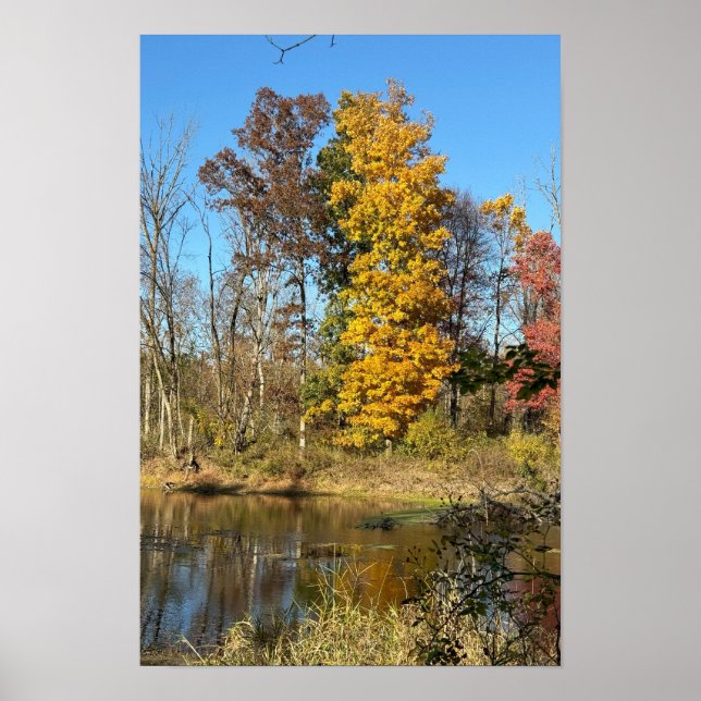 Herbstreflexionen am Bach Poster (Vorne)