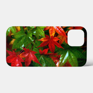 Herbstrennen Case-Mate iPhone Hülle