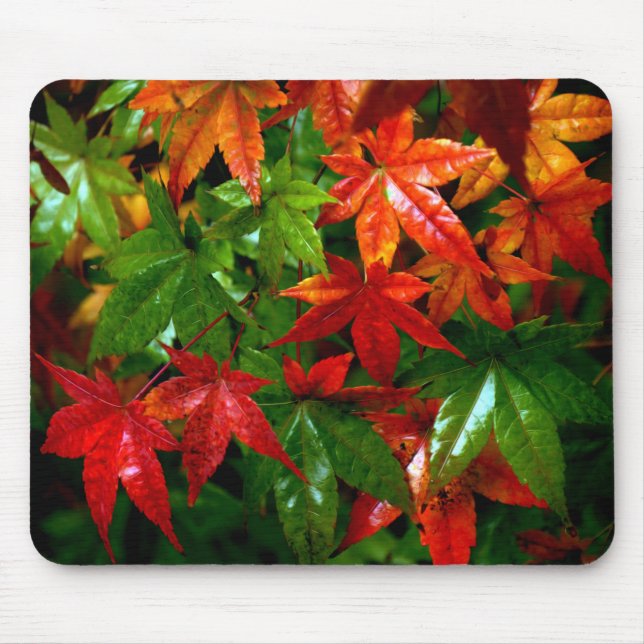 Herbstrennen Mousepad (Vorne)