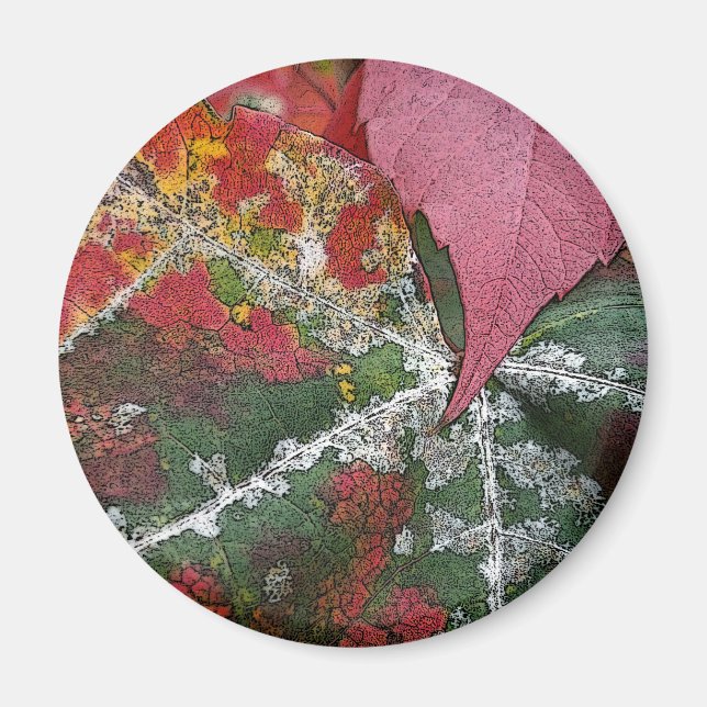 Herbstrost Magnet (Vorne)