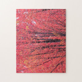 Herbstrot - Herbstbaume Puzzle