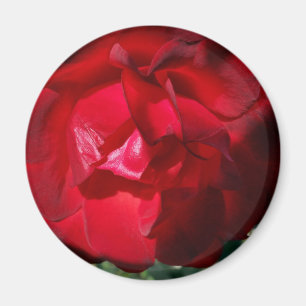 Herbstrot Magnet
