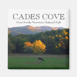 Herbstrotwildwild lebende tiere cades Bucht große Magnet