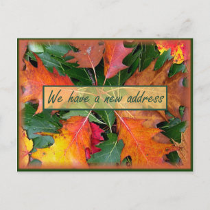 Herbstsaison Oak-Blätter wechseln Ankündigungspostkarte