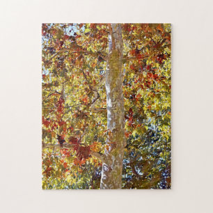 Herbstsaison Sycamore Tree Art Puzzle