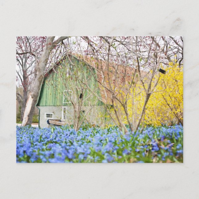 Herbstscheune mit blauem Blumenfeld Postkarte (Vorderseite)