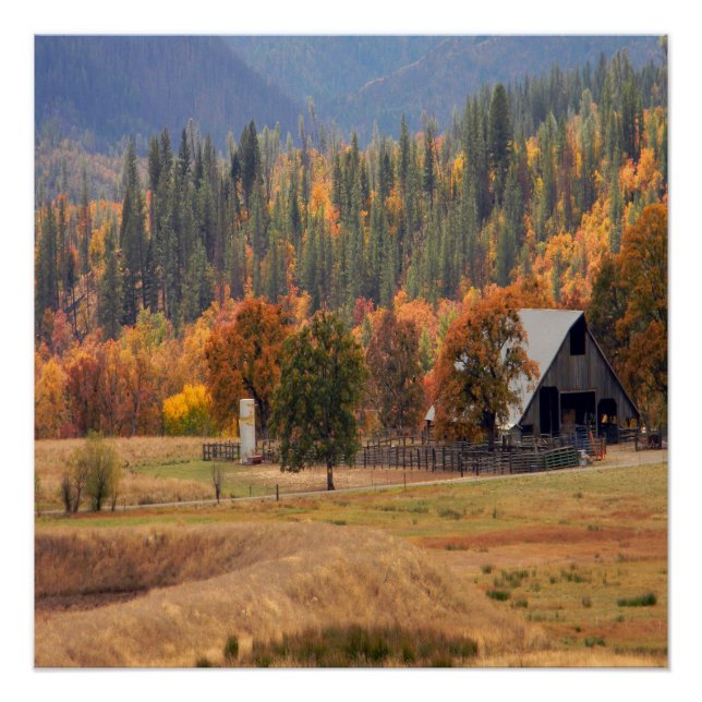 Herbstschönheit in Hayfork, Kalifornien.. Poster (Vorderseite)