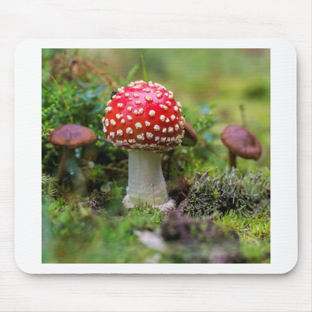 Herbstschönheit Mousepad (Vorne)