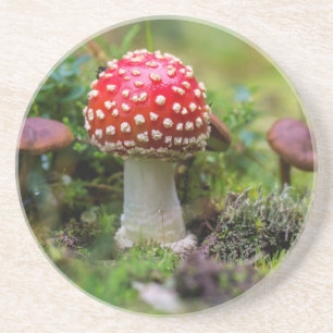 Herbstschönheit Sandstein Untersetzer