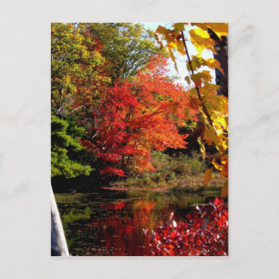 Herbstsee 4 postkarte