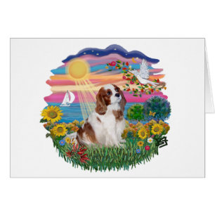 Herbstsonne - Blenheim Cavalier