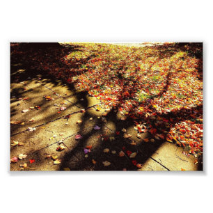 Herbstspaziergang Fotodruck