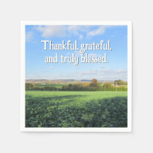 Herbstspaziergang im Land - Erntedank