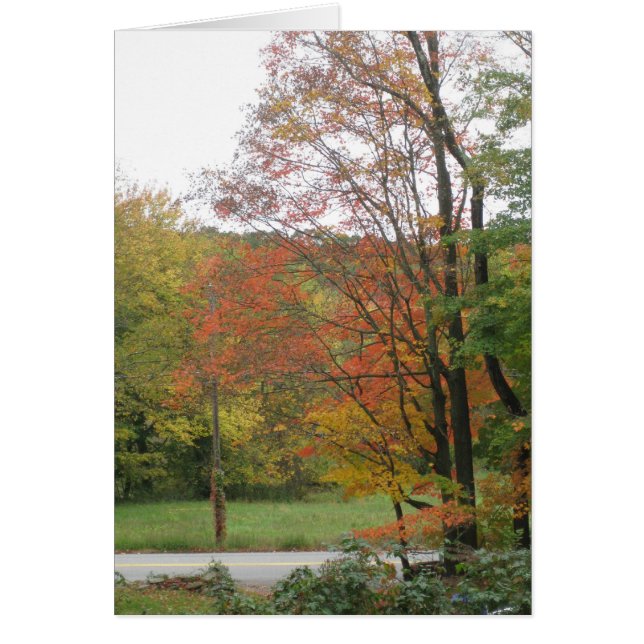 Herbststraße 2 (Vorne)